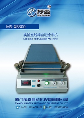 MS-XB300